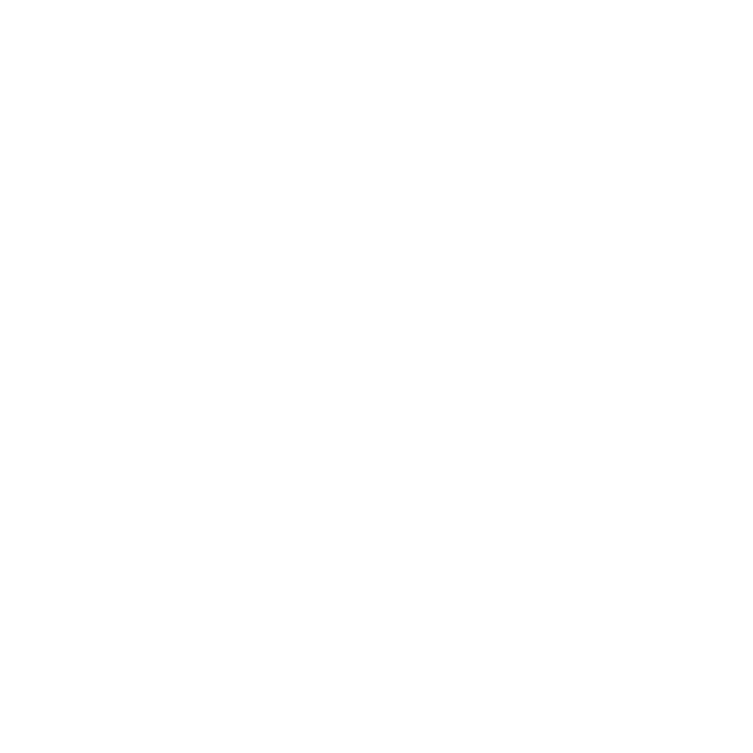 Voyager Visual