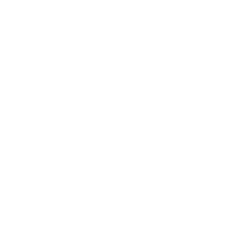 Voyager Visual